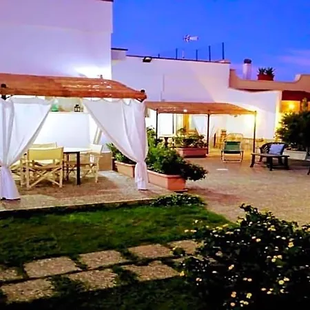 Sofia 3*