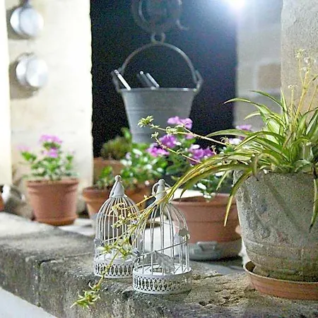 Bed & Breakfast Sofia 3*