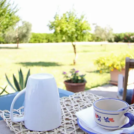 Bed & Breakfast Sofia